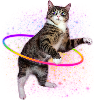 Hula Hoop Galaxy Cat Kids T-Shirt